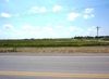 Alt. Hwy 75 Garfield Road photo
